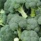 Brokoli - mastopatiya və digər qadın xəstəliklərindən qurtuluş