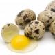 خواص مفید و مضر تخم بلدرچین برای مردان و زنان