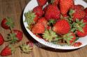 Sušené jahody: ako správne sušiť jahody na zimu doma